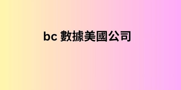 bc 數據美國公司 